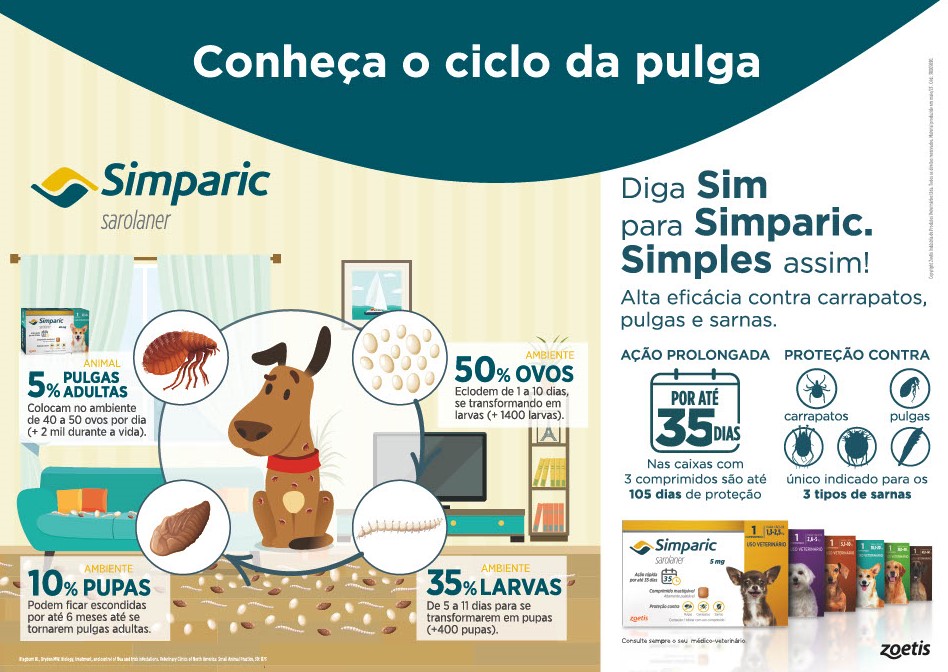 Ciclo da Pulga