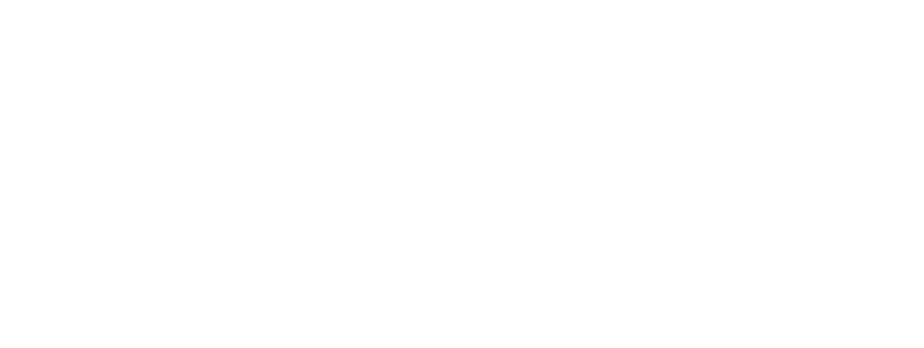 Logo ZOETIS